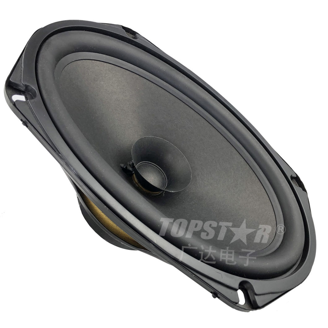 Автомобильный динамик